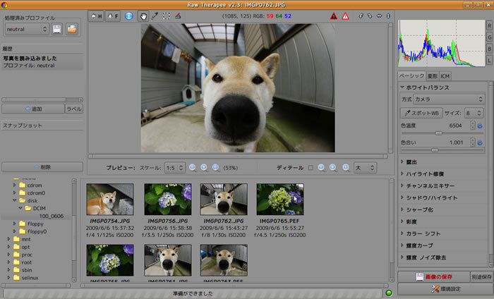 図5　起動したRawTherapee