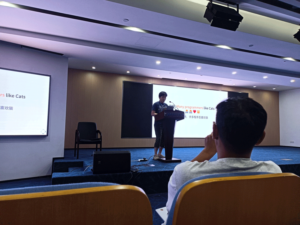 筆者のライトニングトークの様子