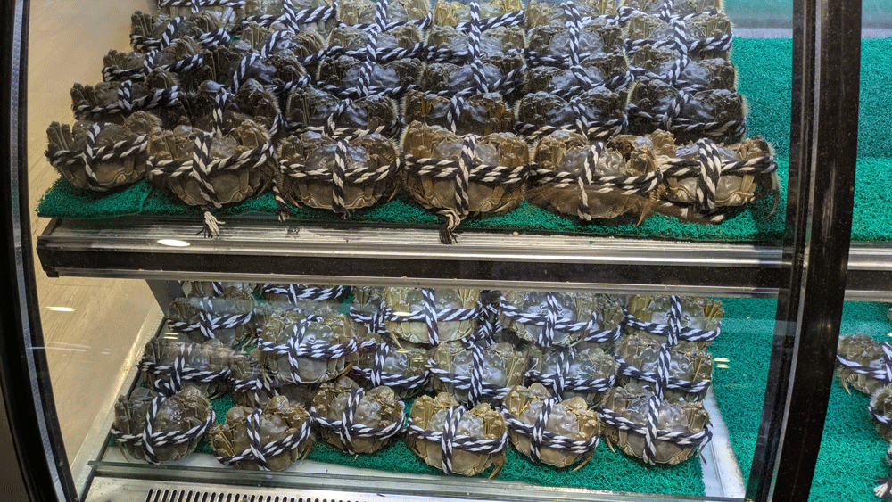 空港で売っている上海蟹