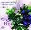 ［表紙］Wedding Herb<br><span clas