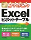 ［表紙］今すぐ使えるかんたん<br>Excel<wbr>ピボットテーブル<br><span clas