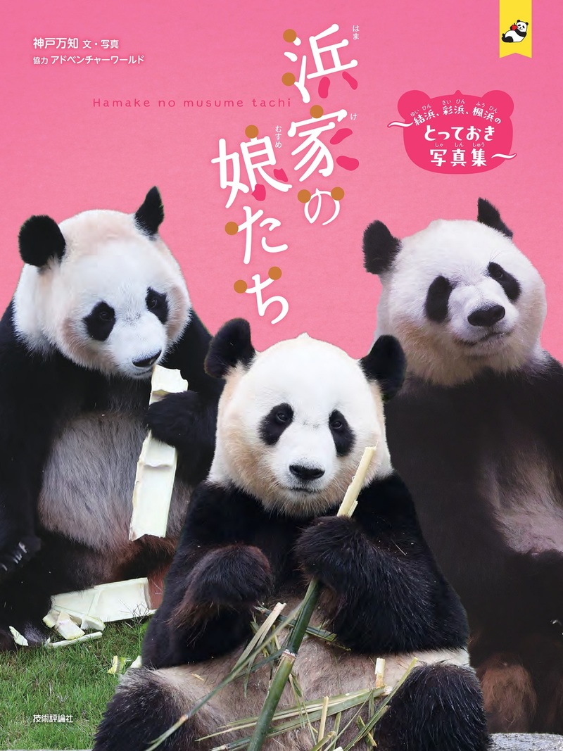 カバー画像