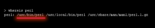 whereisperlコマンドで調査