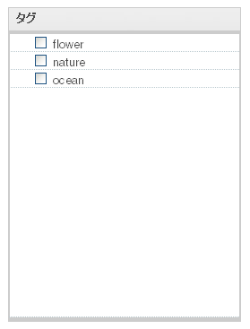図22　アルバム編集から「タグ」をクリックした時や、画像編集で「もっとフィールドを表示」を押した時に展開されるタグブロック