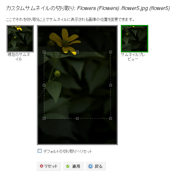 図16　カスタムサムネイルの切り取り（デフォルト）