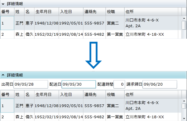 図9　C1Expanderで領域を展開／格納する動作