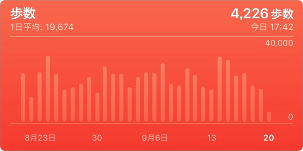 図3　20,000歩／日も歩く体のログ