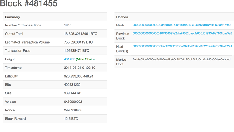 図3　481455番目のbitcoin blockの内訳