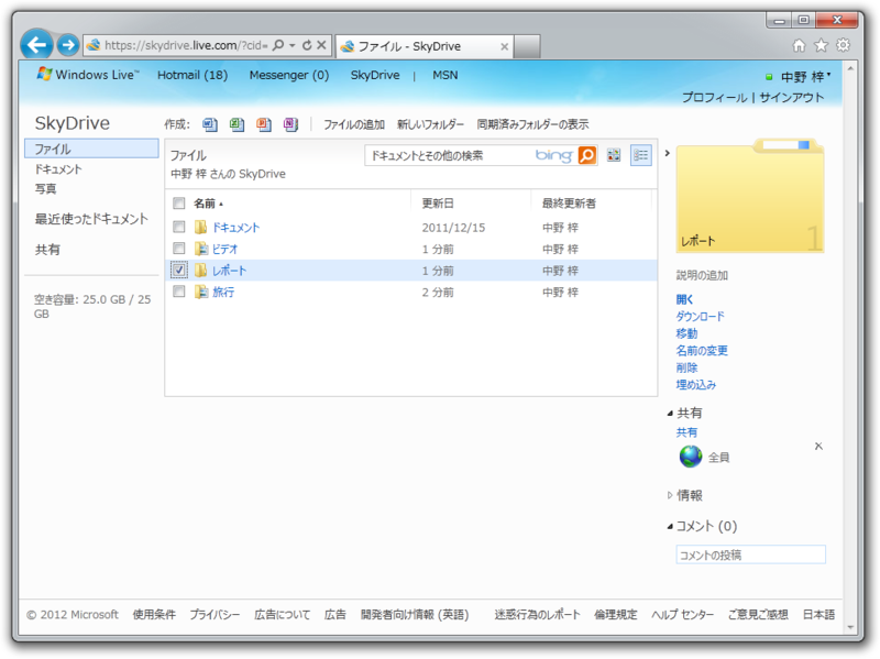 図1　SkyDrive