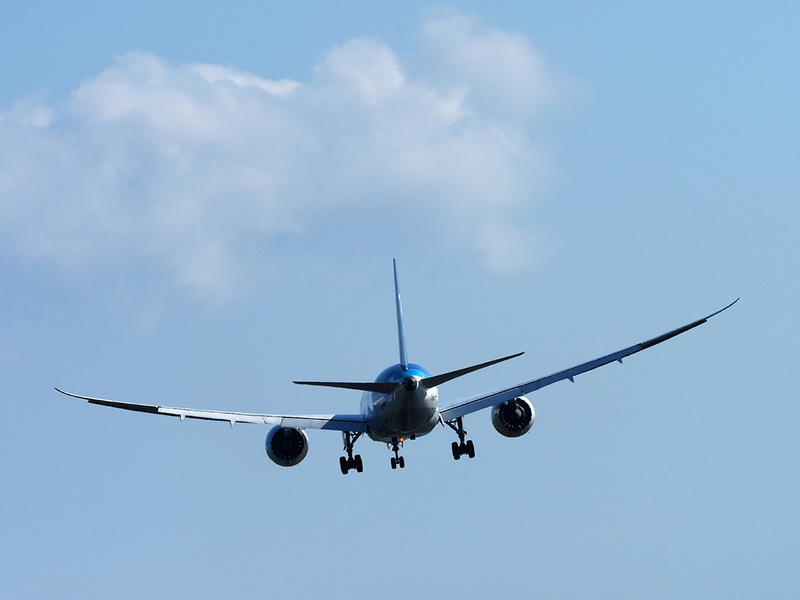 飛行機だけの写真