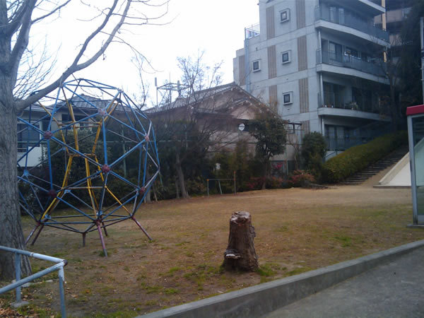 公園の風景。空は完全に白飛びしている。