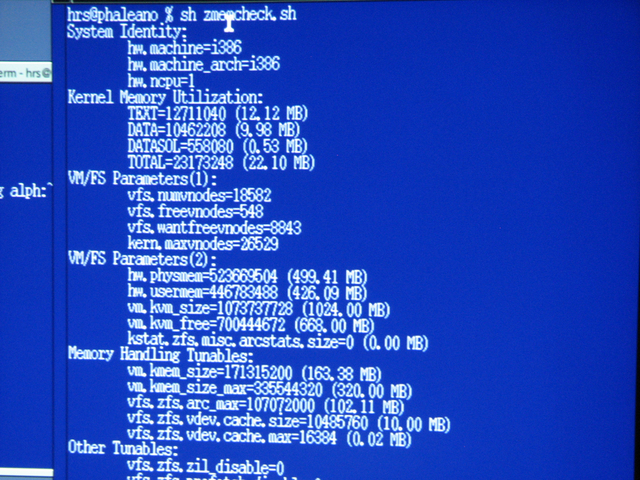 図4　ZFSのメモリチェックの実演